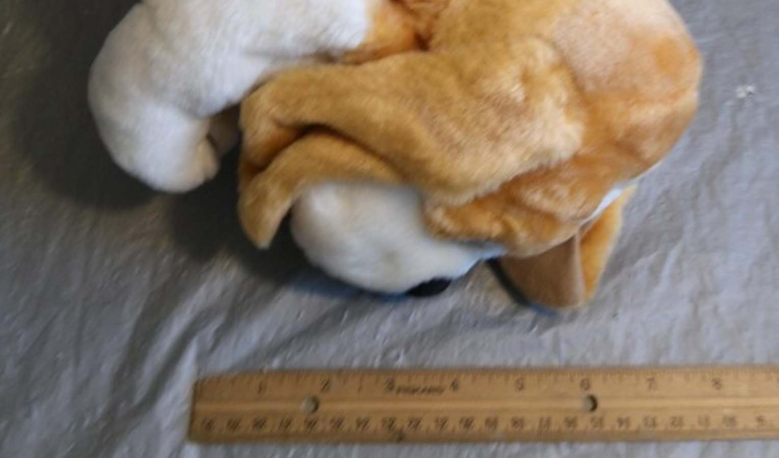 Droga nascosta in un peluche: arrestato spacciatore a Prà