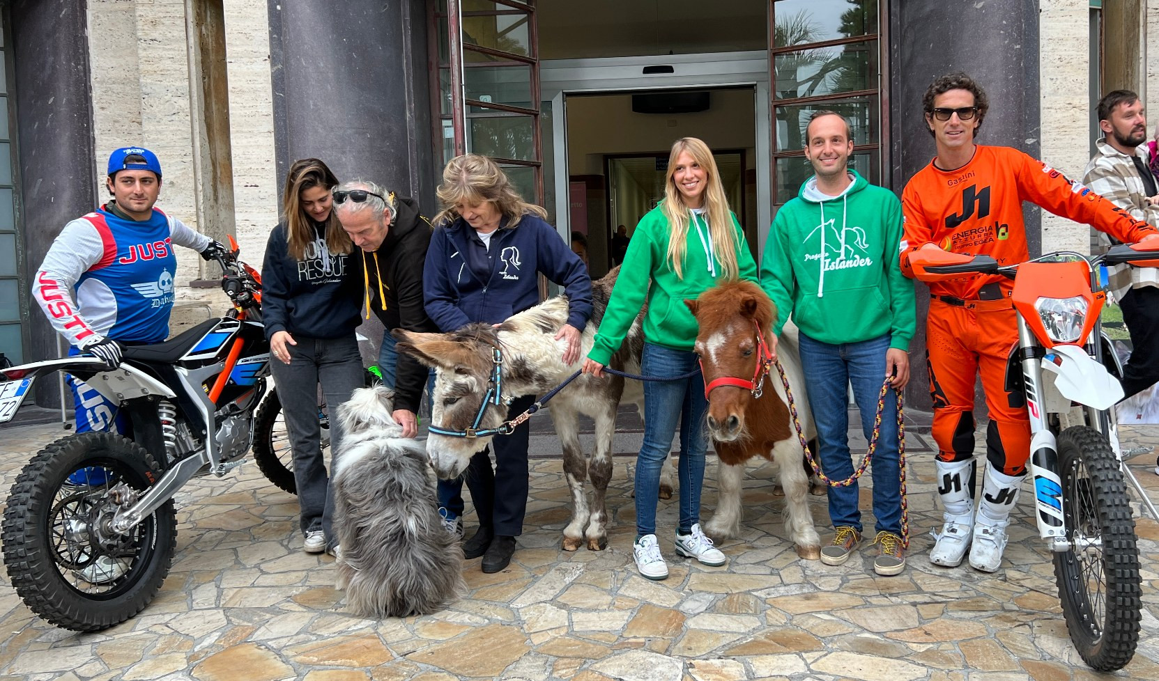 Un anno di pet therapy con pony e asini maltrattati al Gaslini: 