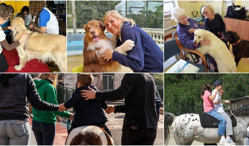 Ospedali, Rsa e scuole: dalle 21 i piccoli grandi miracoli della pet therapy
