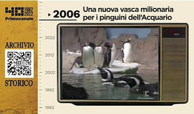Dall'archivio storico di Primocanale, 2006: all'Acquario arriva la vasca per i pinguini