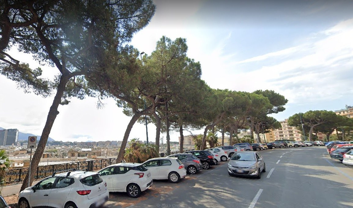 Genova, il Tar blocca l'abbattimento dei pini secolari di Corso Podestà