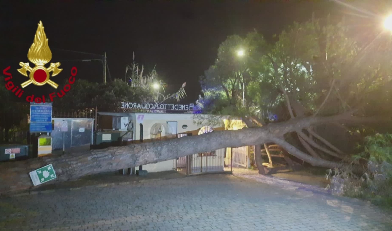 Pino marittimo si abbatte sul cancello del centro Benedetto Acquarone