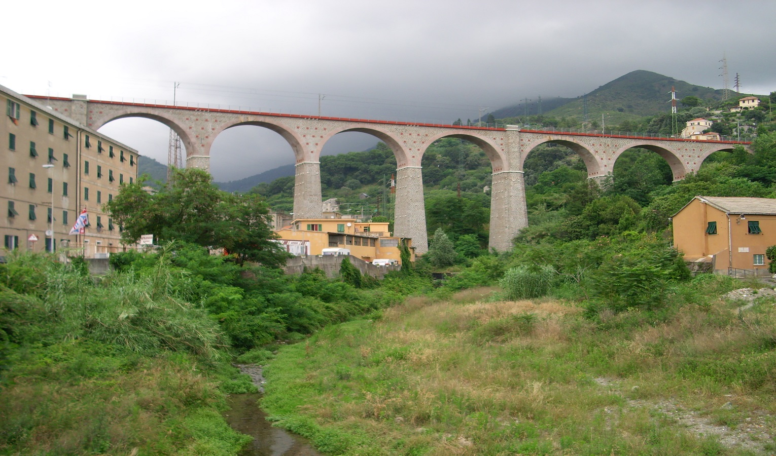 Torrenti invasi dalla vegetazione, l'inchiesta di Primocanale