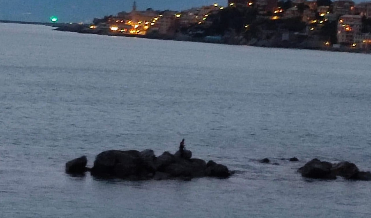 Genova, col gommone alla deriva a Priaruggia: salvato da motovedetta