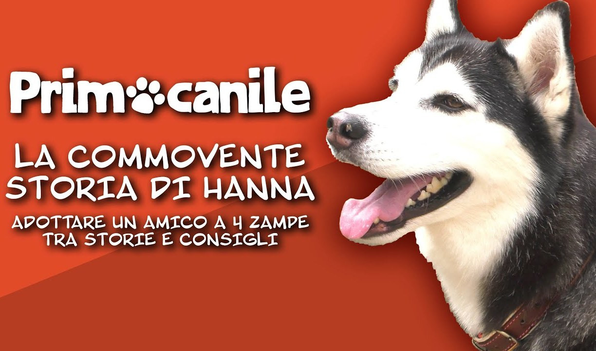 Primocanile, l'adozione - Le toccanti storie di Hanna, Xena e Sophie