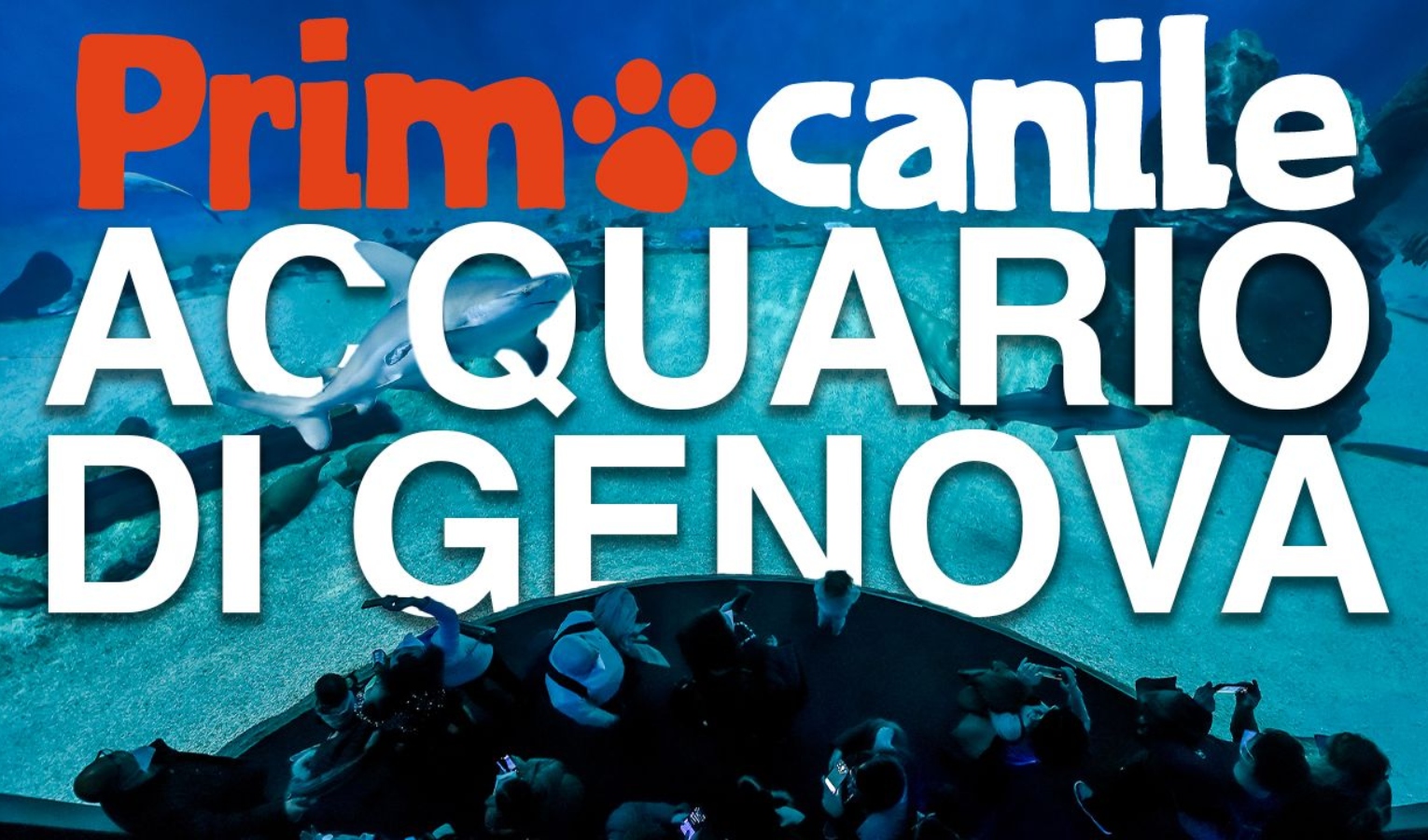 Primocanile all'Acquario di Genova tra squali, pinguini e cacatua