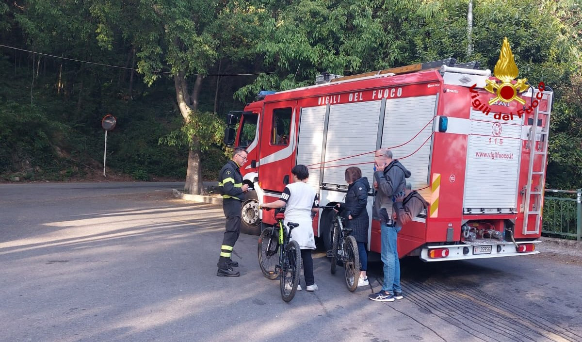 Genova, branco di cinghiali accerchia due ragazzi: 'salvati' dai vigili del fuoco