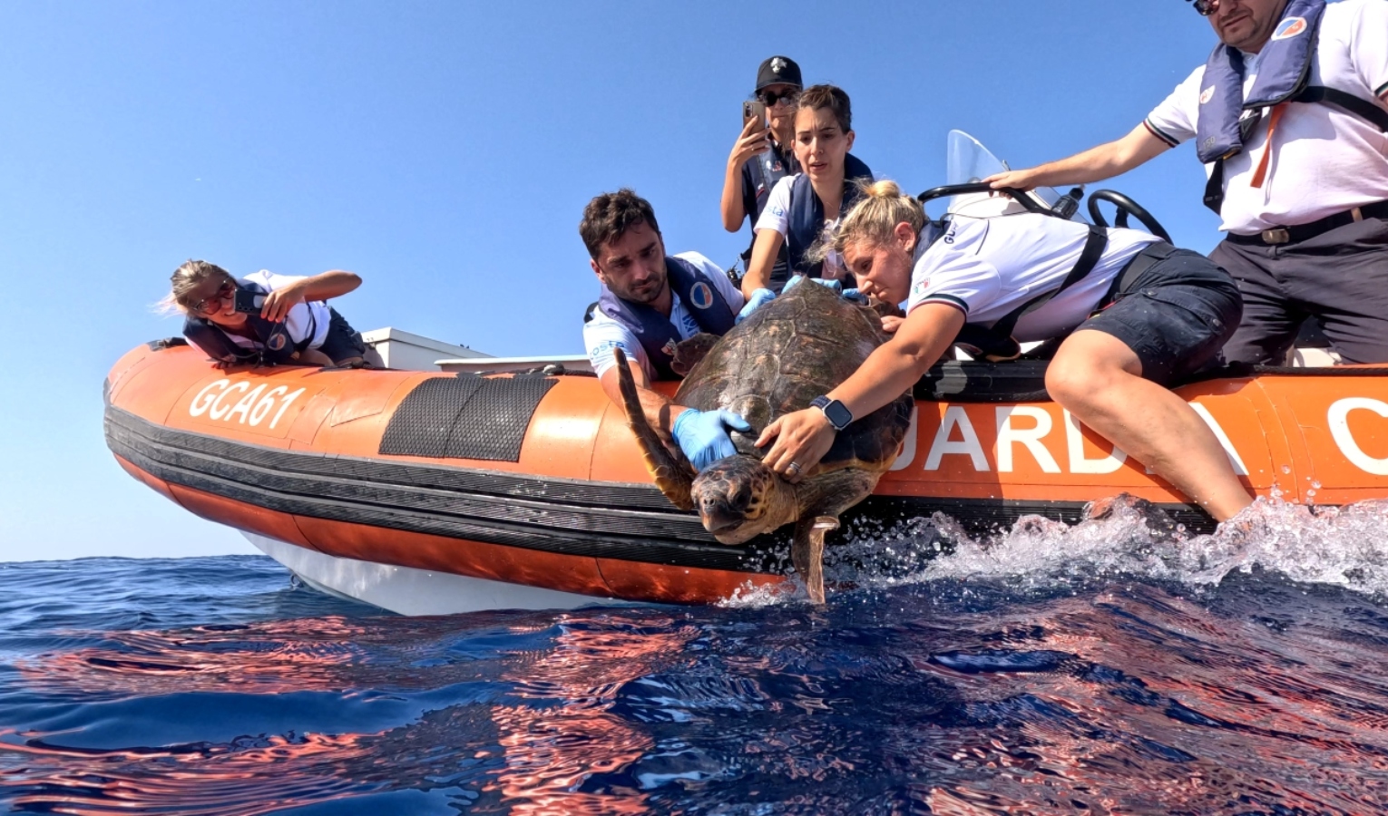 Ritorna in mare la tartaruga recuperata a Varazze a fine giugno