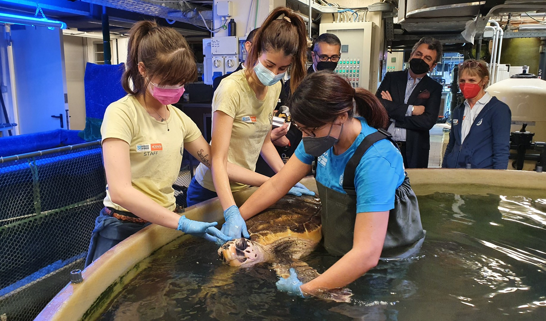 Capitaneria di porto e Acquario: insieme per la fauna marina in difficoltà