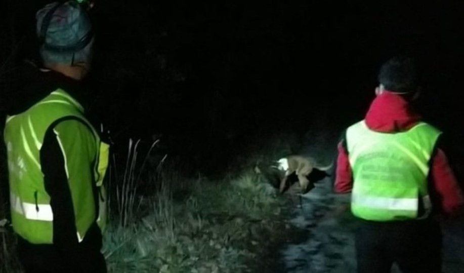 Anziana si perde nei boschi per cercare il cane, mobilitazione di soccorsi