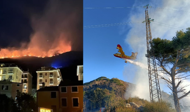 Carabinieri forestali: drastico calo dei roghi nell'anno più caldo e siccitoso