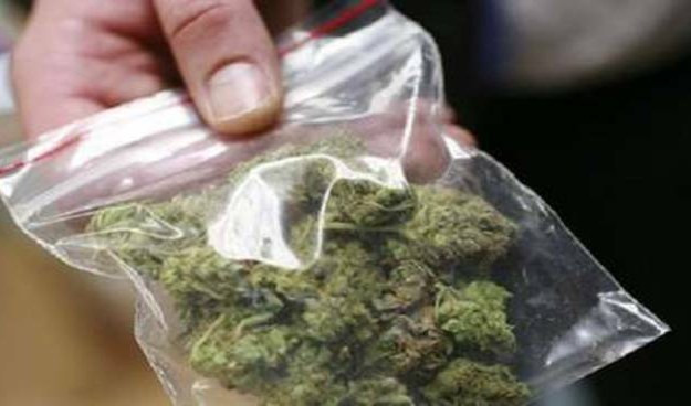 Genova, nasconde un chilo e mezzo di marijuana nell'armadio: arrestato