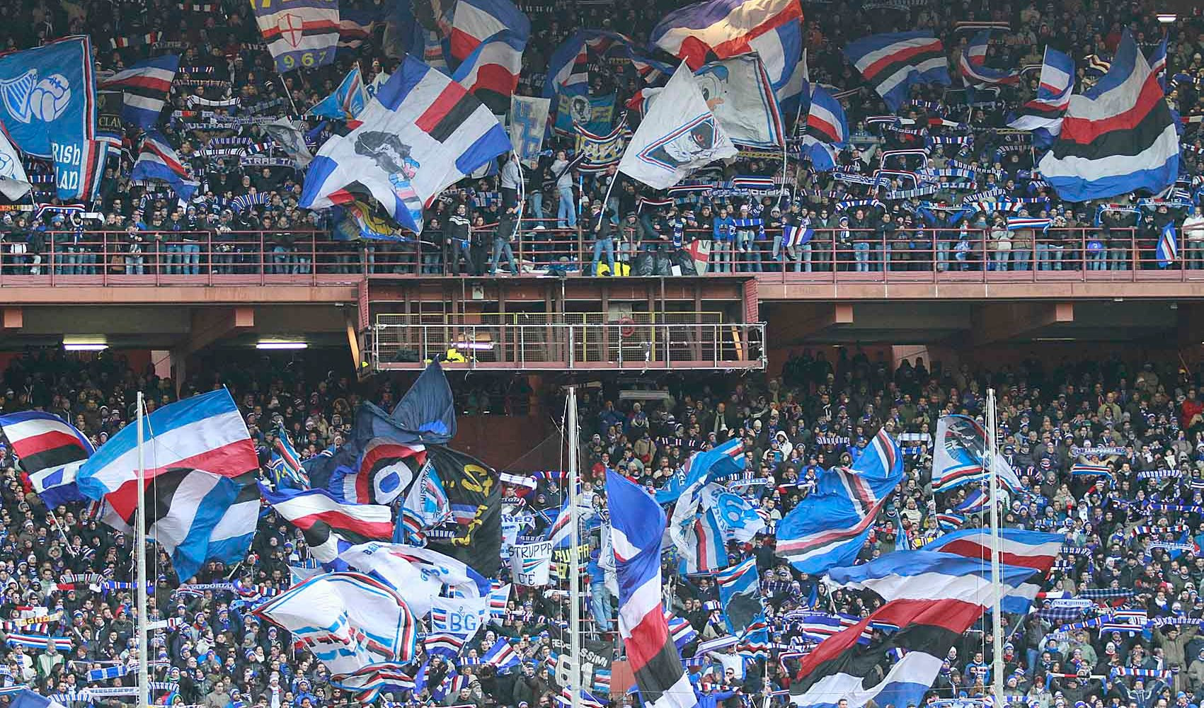 Sampdoria-Bologna 1-2: cronaca e tabellino della partita