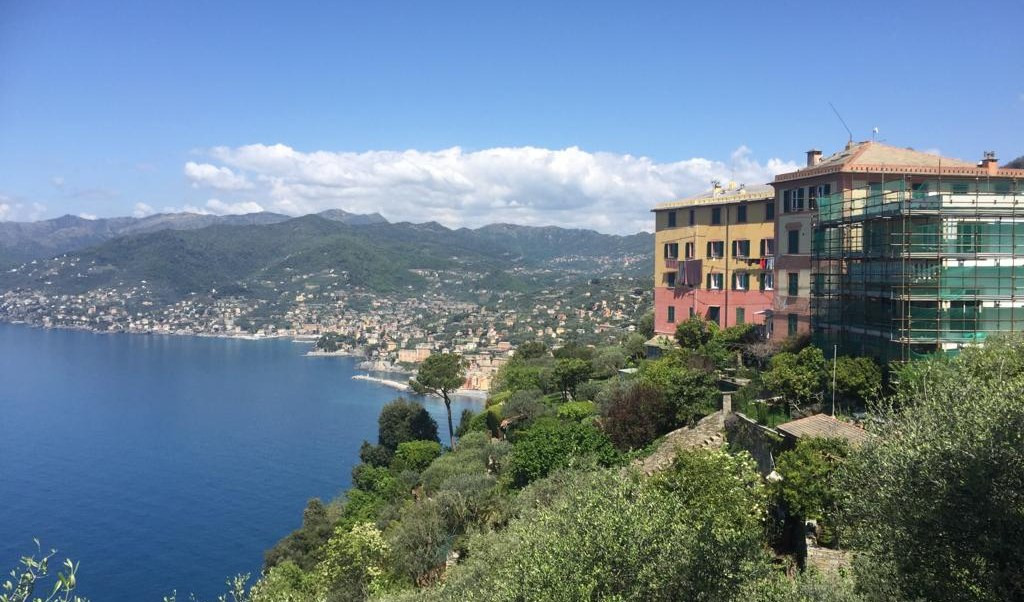 Case a picco sul mare con albero intorno 