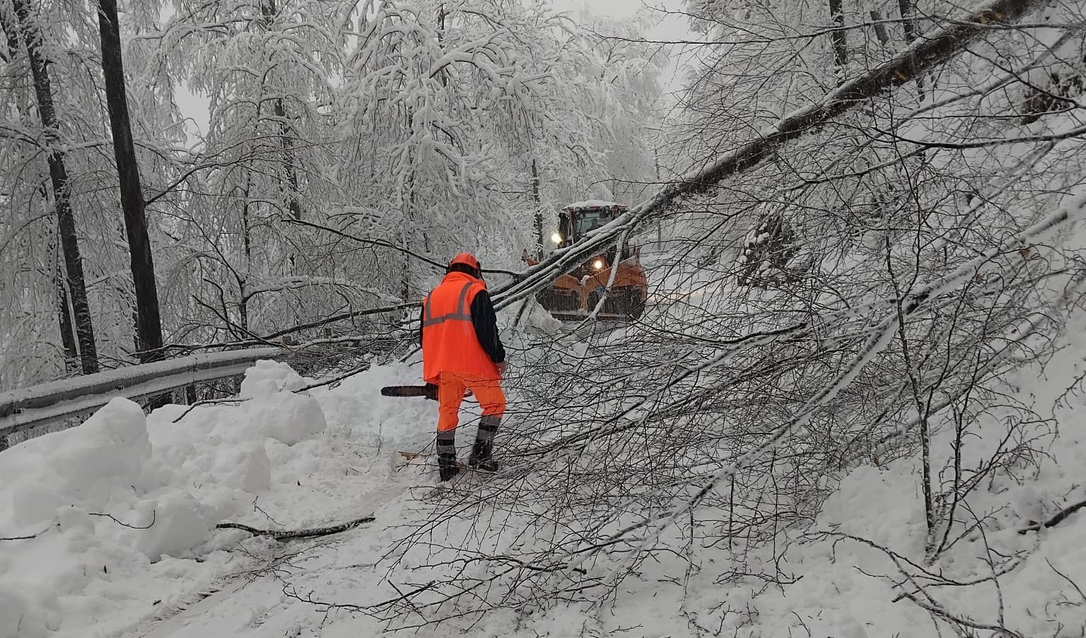Allerta nell'entroterra, il presidente della Provincia di Savona: Alberi e neve sulle provinciali