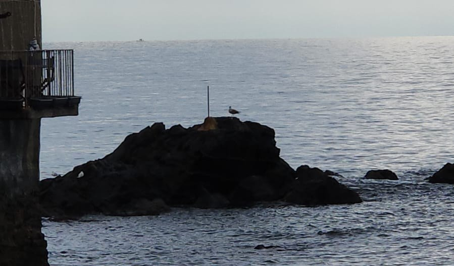 Dopo l'esposto del vecchi Ultras Samp, tolta la bandiera genoana a Boccadasse