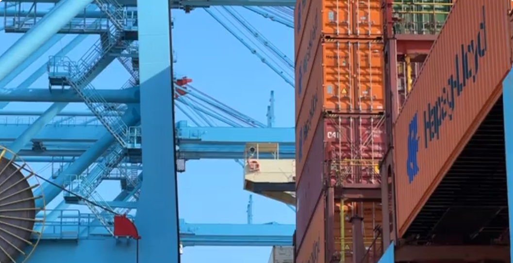 Global Safety Day 2025: la cultura della sicurezza a Vado Gateway - Lo speciale