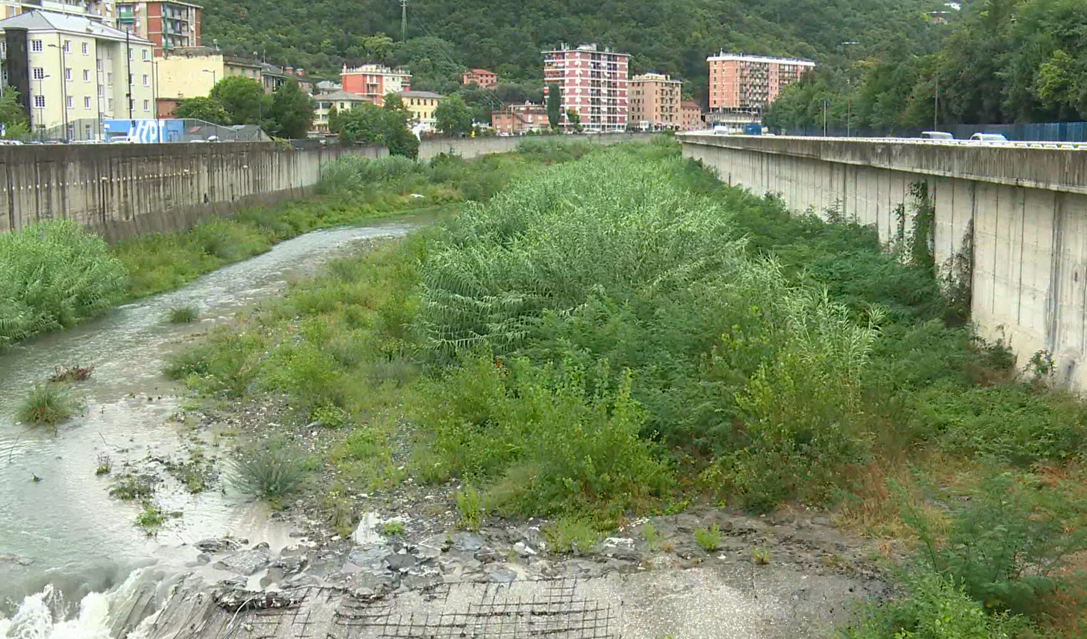 Sfalcio dei fiumi a Genova, l'assessore: 