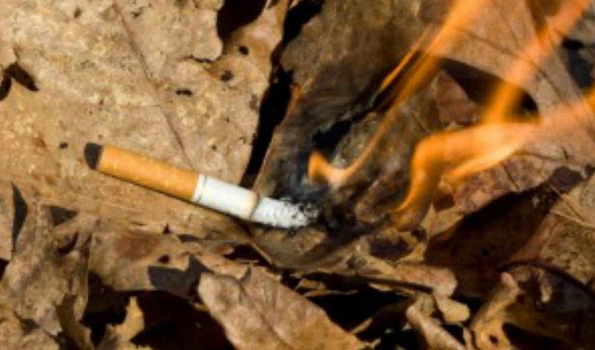 Paura incendi, vietato fumare nei boschi di Savona