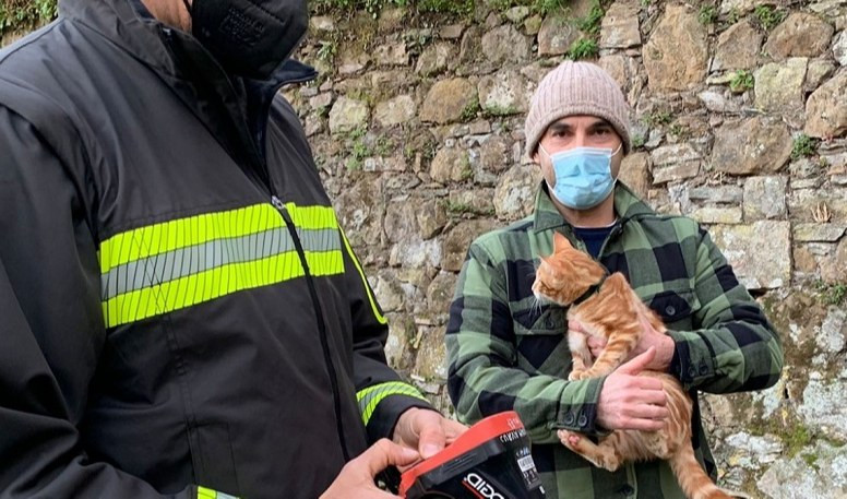 Gatto in un tombino, salvato dai pompieri