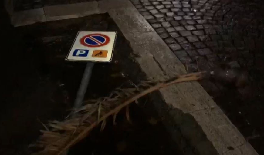 Maltempo, alla Spezia il vento spezza rami e cartelli stradali