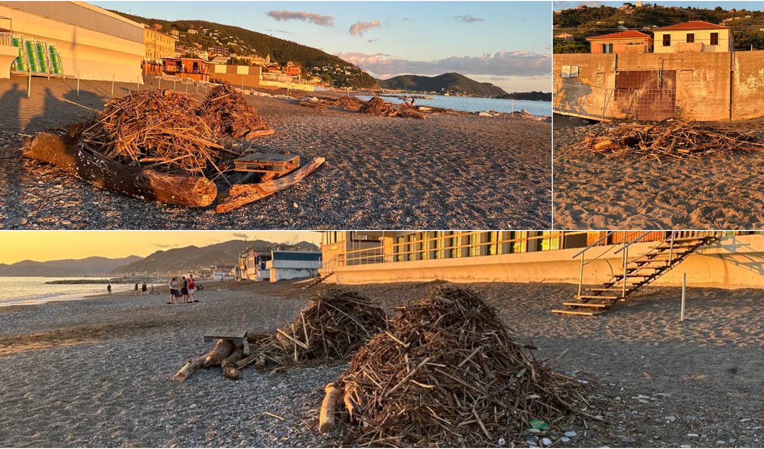 Lavagna, spiagge invase dai tronchi: polemiche per la pulizia