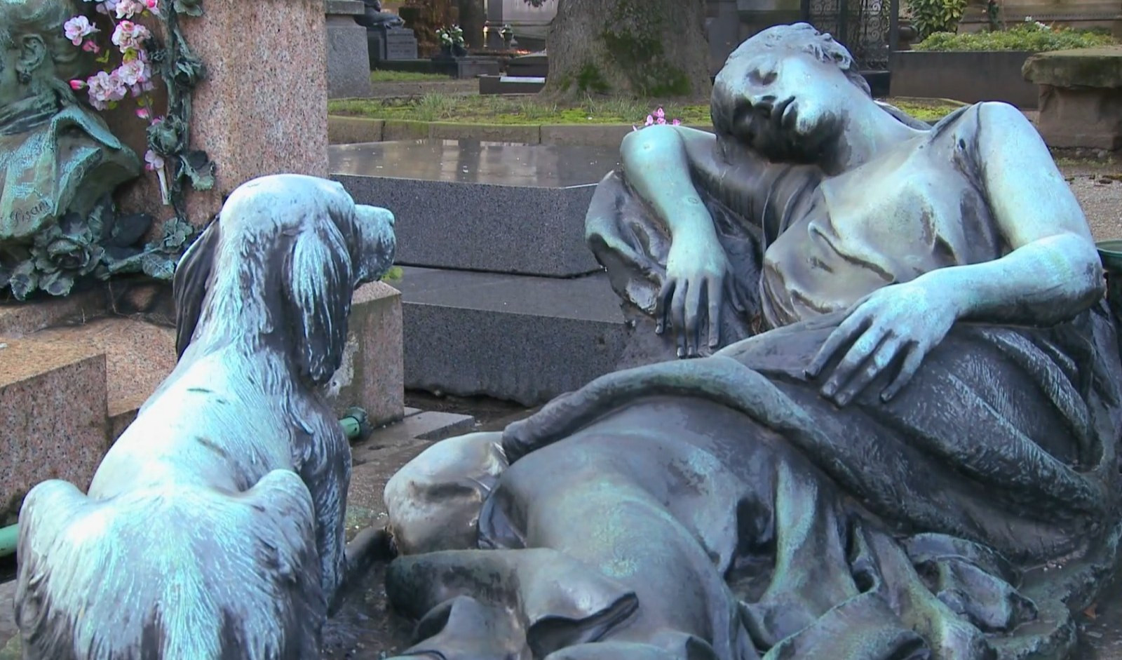Cimiteri, a Genova ok alla sepoltura per gli animali da compagnia