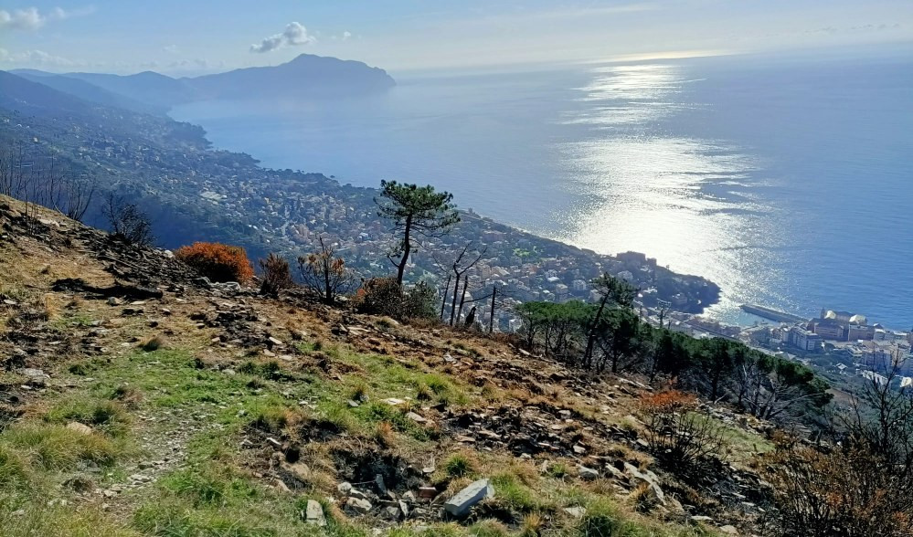 Genova, incendio monte Moro: distrutti gli alberi piantati dai volontari