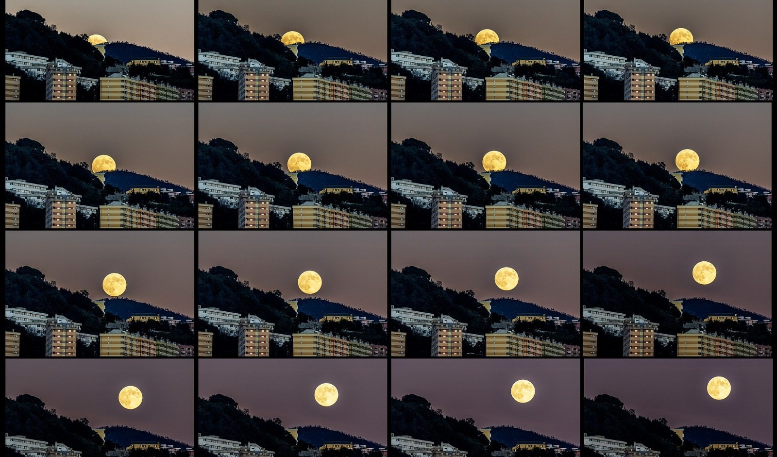Il 15 novembre era l'ultima superluna piena dell'anno Il sorgere della superluna a Genova