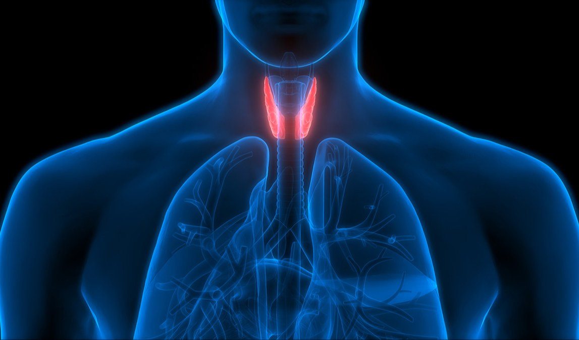 Settimana tiroide, Ferone (S. Martino): 