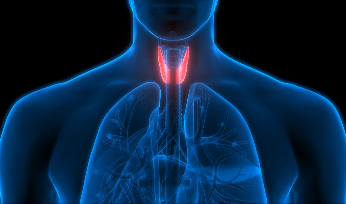 Tumori endocrini, ecco cosa sono e come si sviluppano