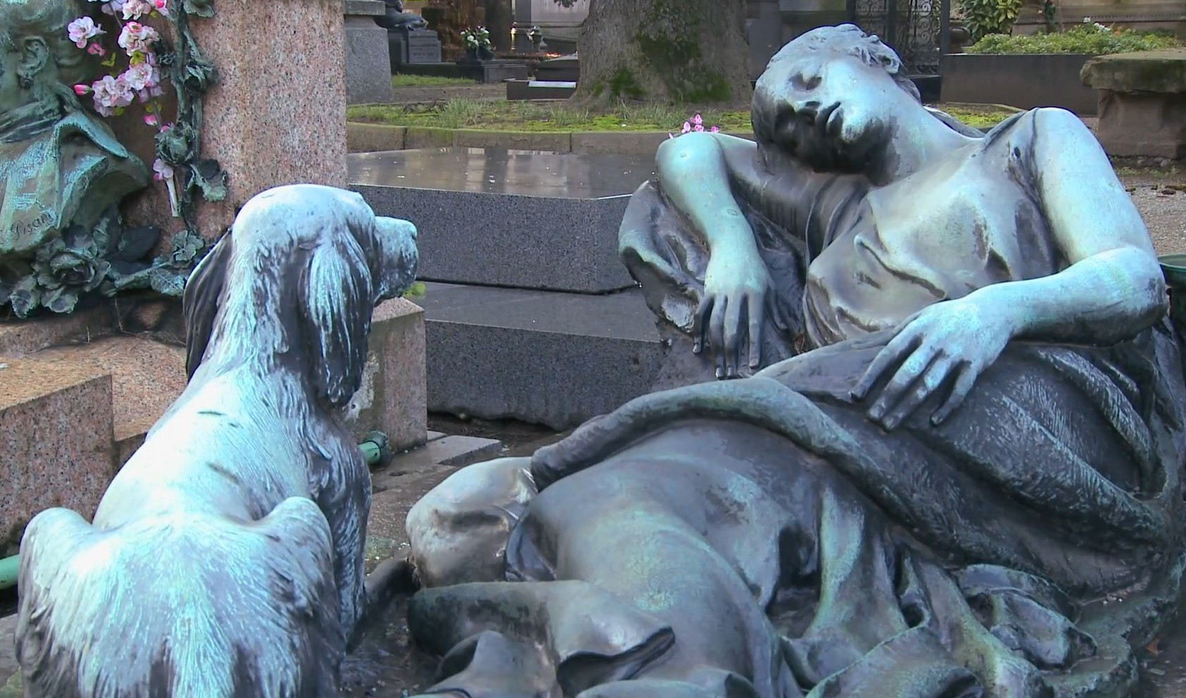 Alla Spezia il secondo cimitero per animali in Liguria: costerà 140 euro per 5 anni