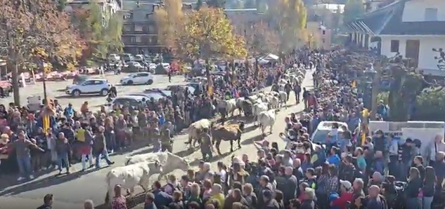 Transumanza 2025, la festa a Santo Stefano d'Aveto: