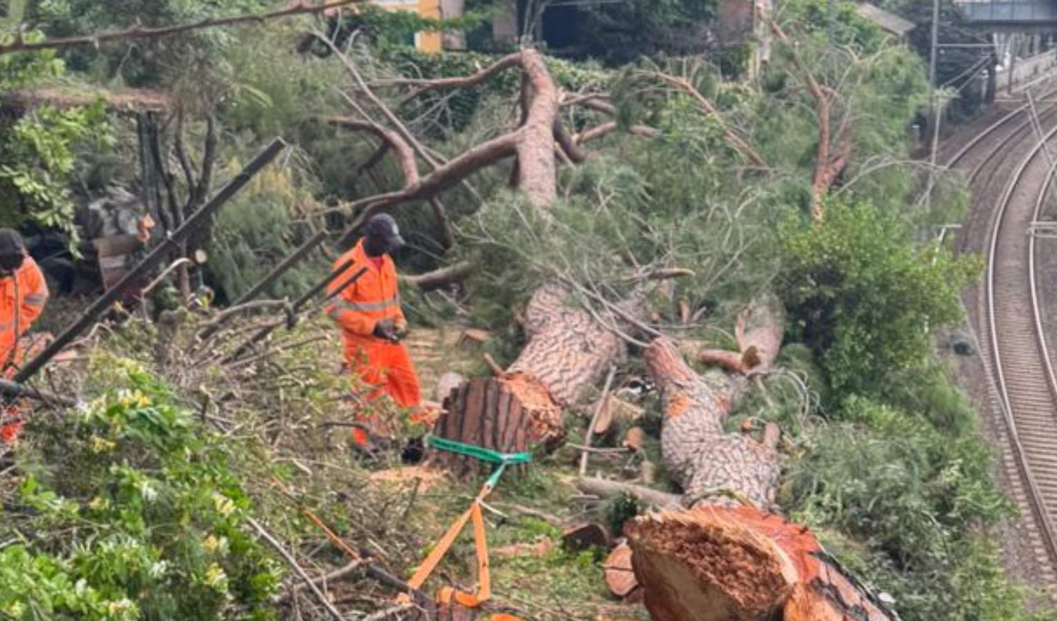 Caos treni, albero sui binari a Recco: mattinata di cancellazioni e ritardi