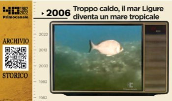 Dall'archivio storico di Primocanale, 2006: Il Mar Ligure diventa tropicale