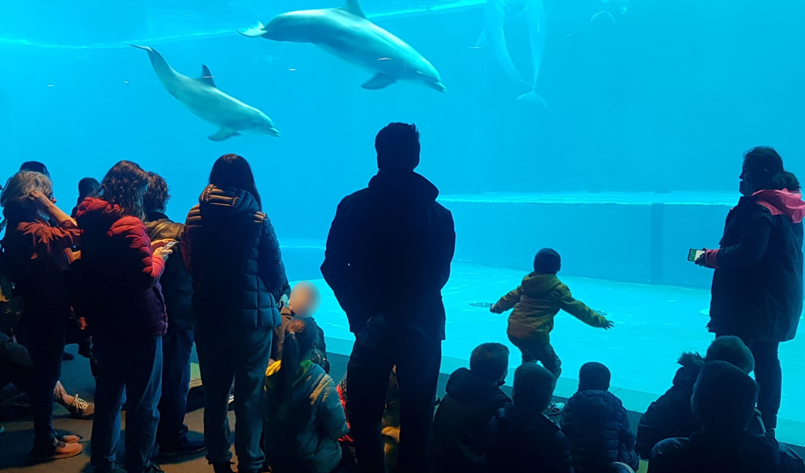 25 aprile, pienone all'Acquario: oltre 30mila visitatori