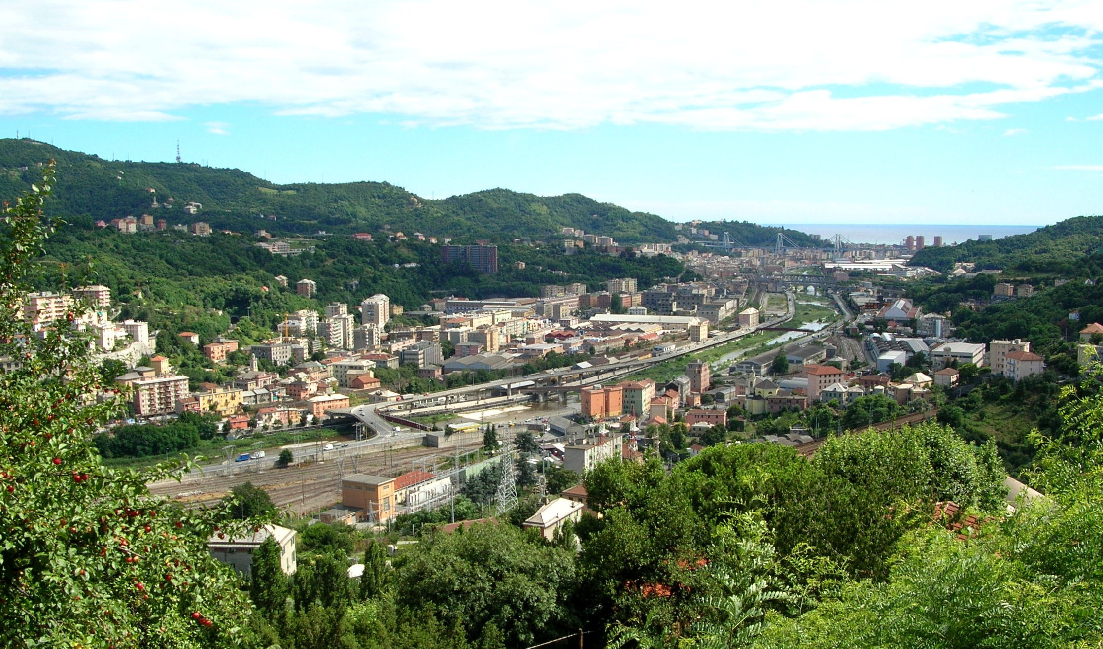 Raffiche di vento a Genova, alberi caduti in Valpolcevera