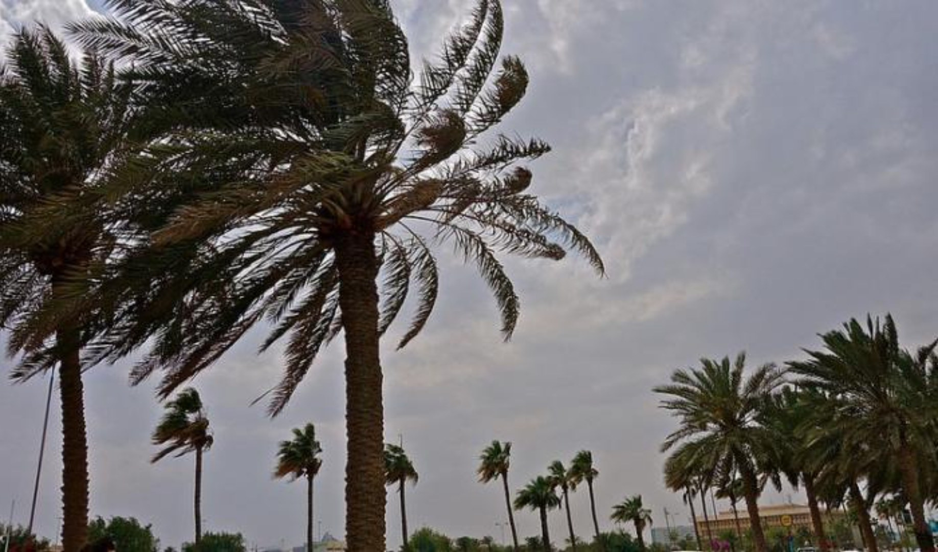 Meteo, weekend di tempo instabile e forte vento sulla Liguria