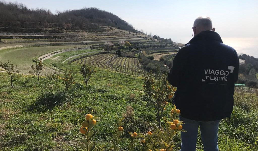 Viaggio in Liguria a Verezzi tra lumache e muretti a secco