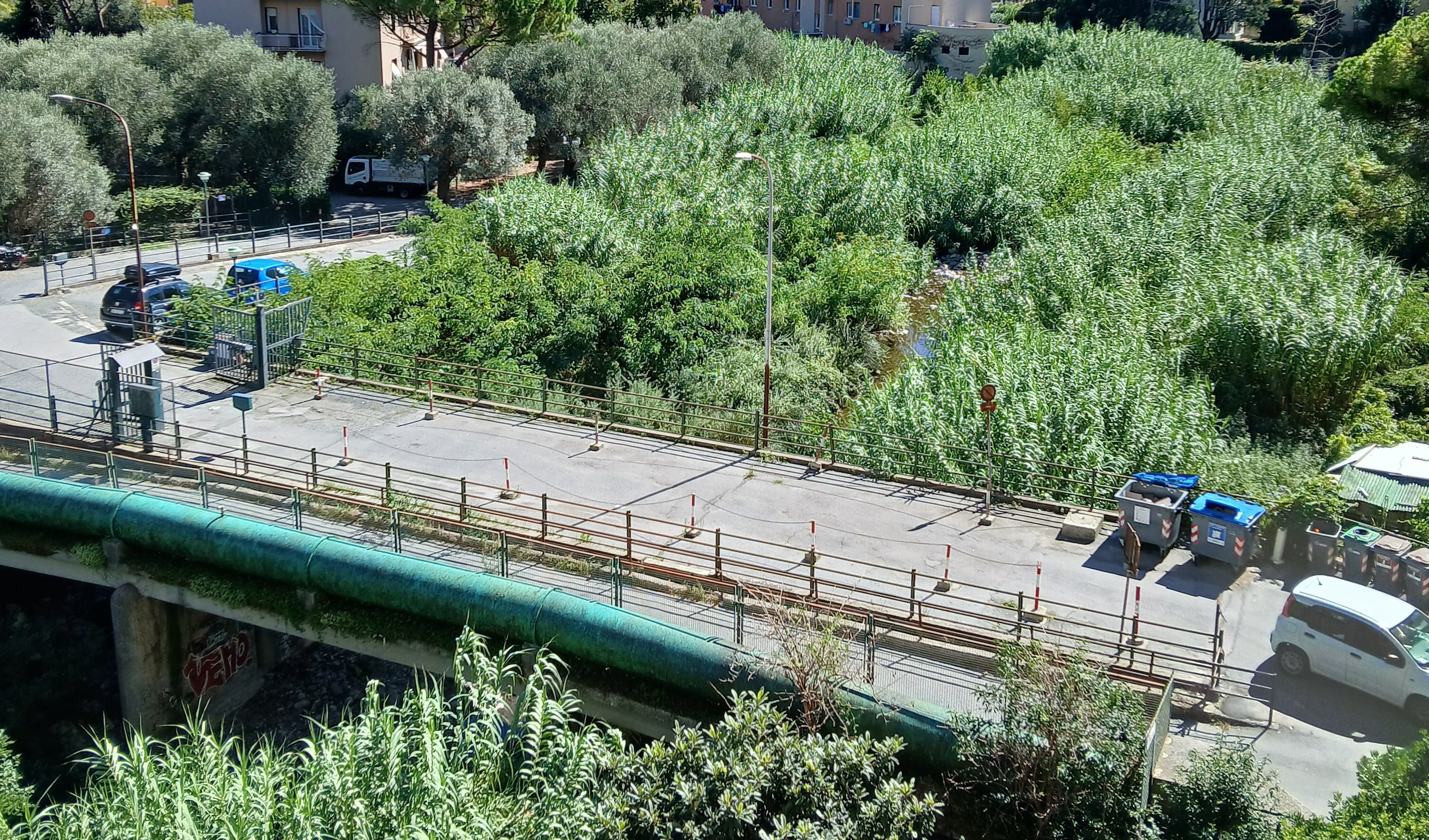 Il torrente Sturla ad Apparizione è un bosco