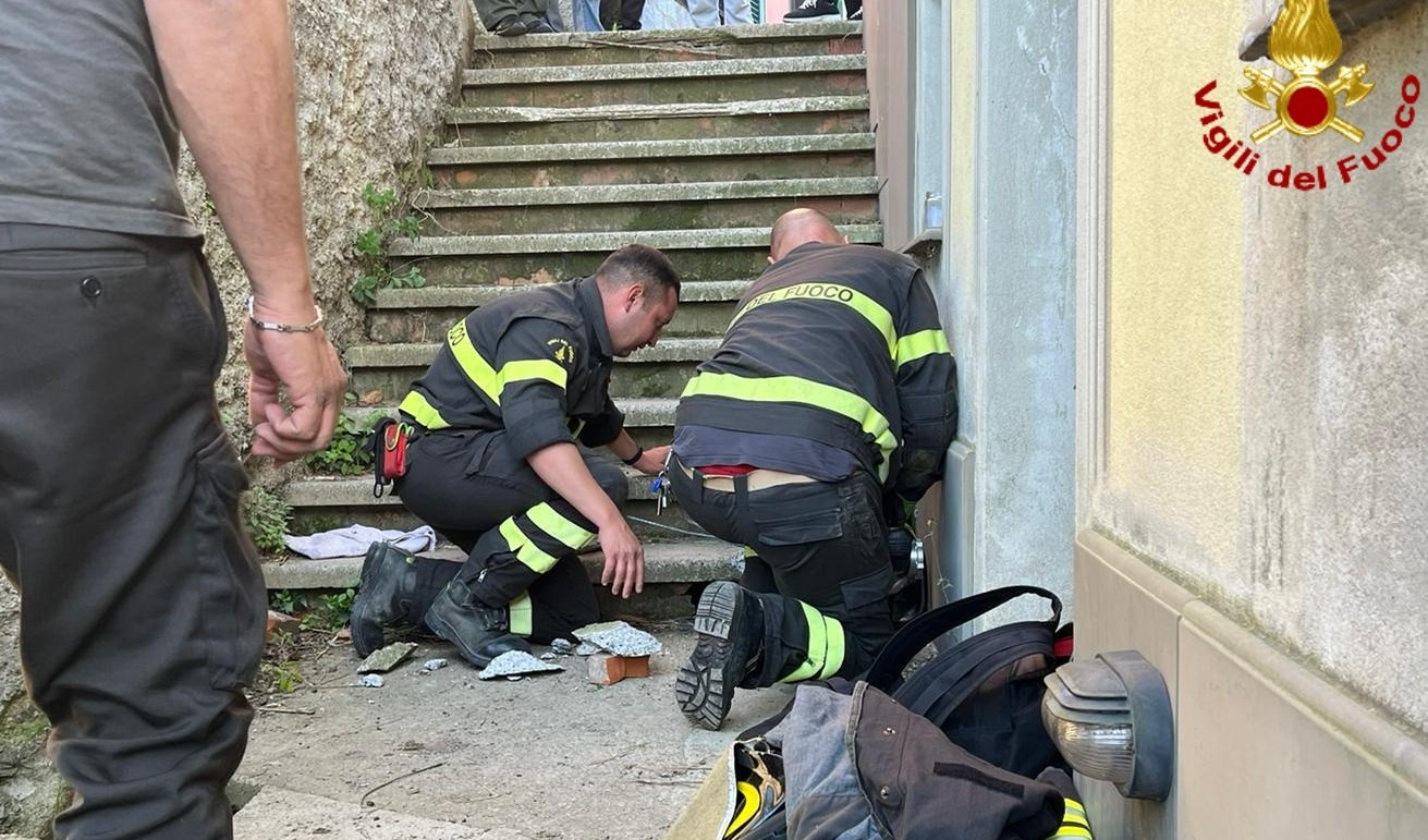 Genova, cane finisce in un cunicolo: salvato dai vigili del fuoco