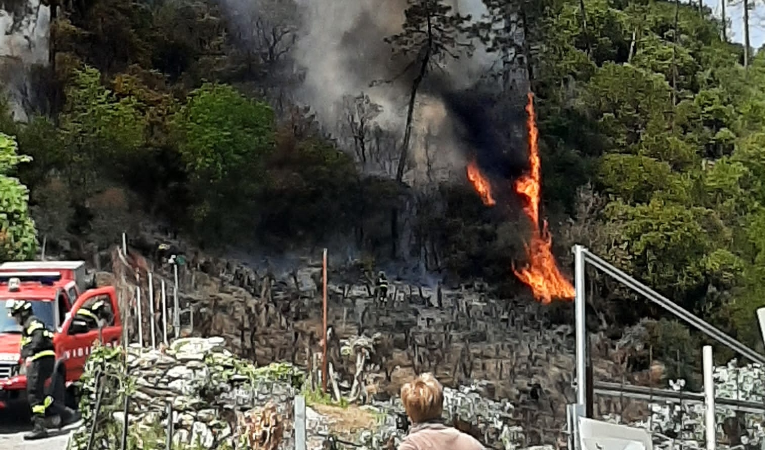 Incendio boschivo a Loano: fiamme sotto controllo