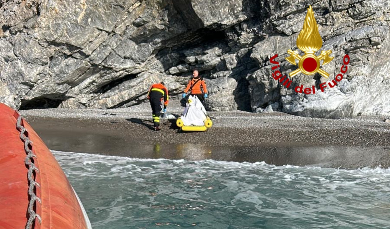 Animali morti in spiaggia, le carcasse rimosse dai vigili del fuoco della Spezia