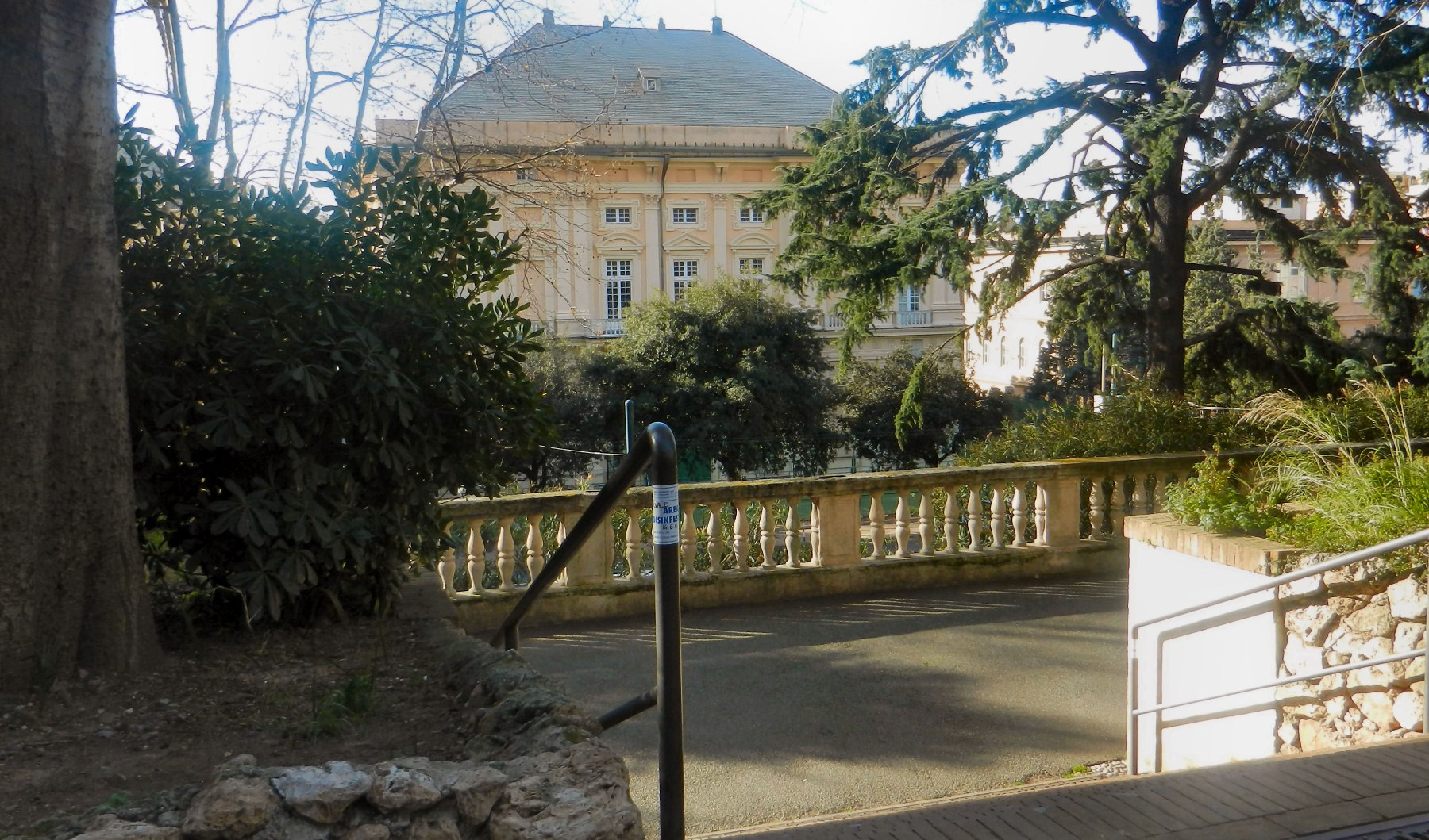 Genova, cinghiali dentro a Villa Scassi: parco chiuso per un'ora