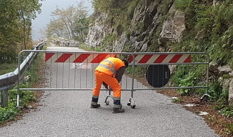 Genova, temporale nella notte: alberi e rami danneggiano le auto