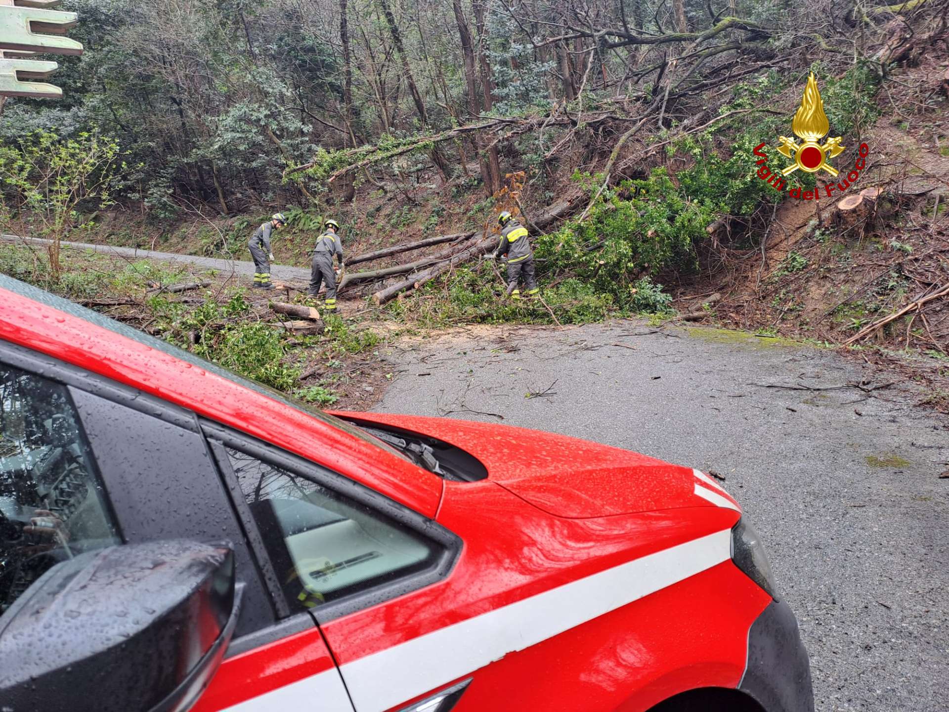 Maltempo, albero caduto e strada bloccata a Serra Riccò