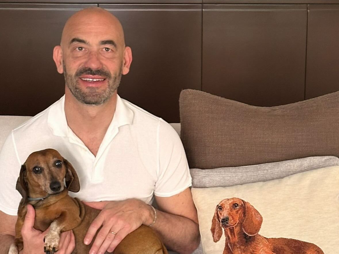 Investita Diva, il bassotto di Bassetti. L'infettivologo: 