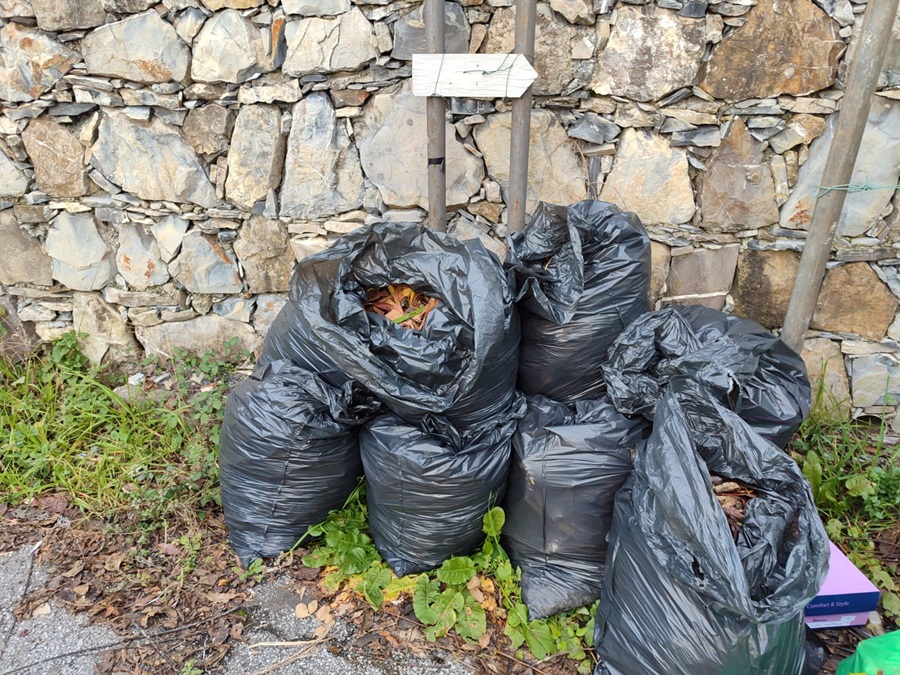 Rifiuti abbandonati in strada, multe salate per due cittadini a Genova