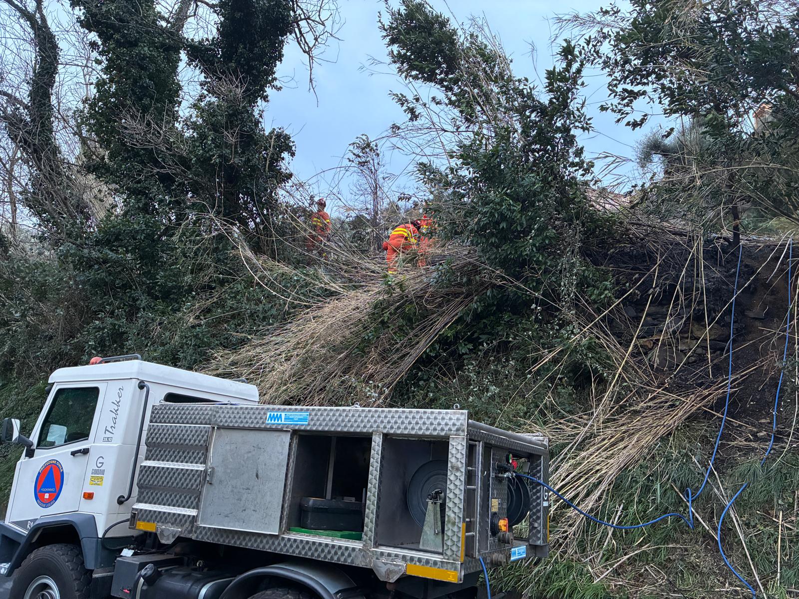 Paura ad Arenzano, in fiamme il bosco vicino alla pineta. Aurelia chiusa per ore