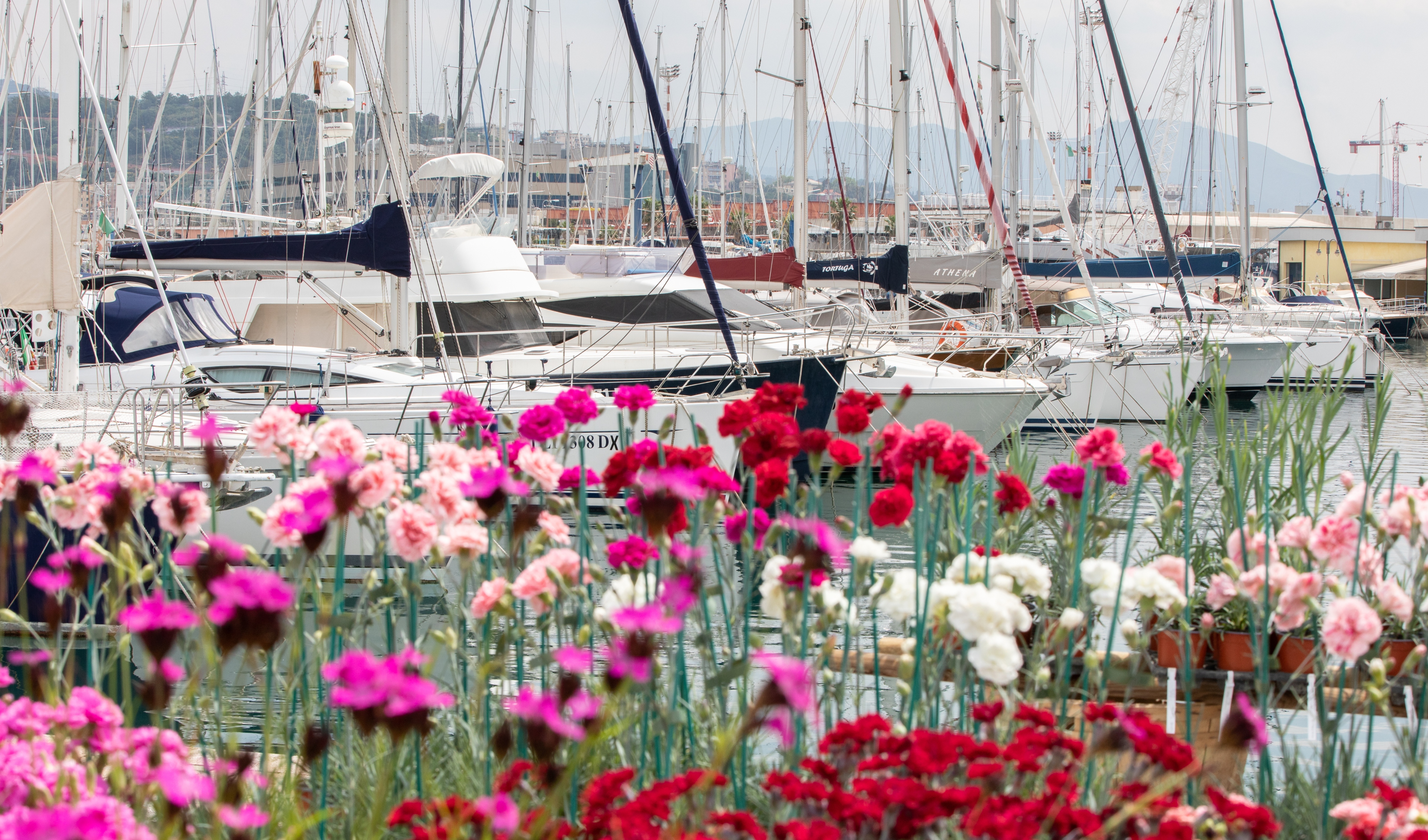  Allo Yacht&Garden le donne che cambiano il mondo della nautica